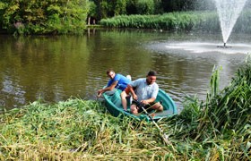 Service Environnement