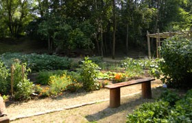 Jardin Kalendula