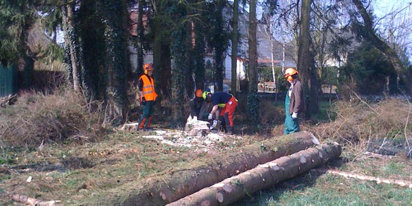 cigl-steinfort-emploi-competences-forret